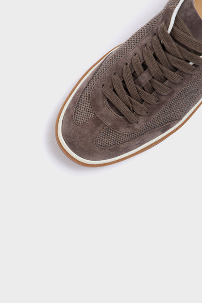 GRAY BROWN