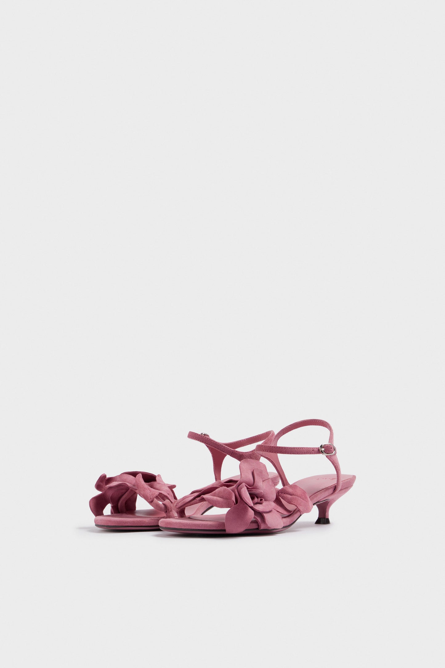 DUSTY ROSE